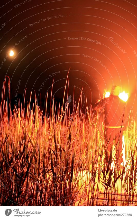 To the Boddenhof Human being Masculine Man Adults Body 1 Nature Landscape Sky Moon Plant Bushes Lakeside Illuminate Fire Colour photo Exterior shot Experimental