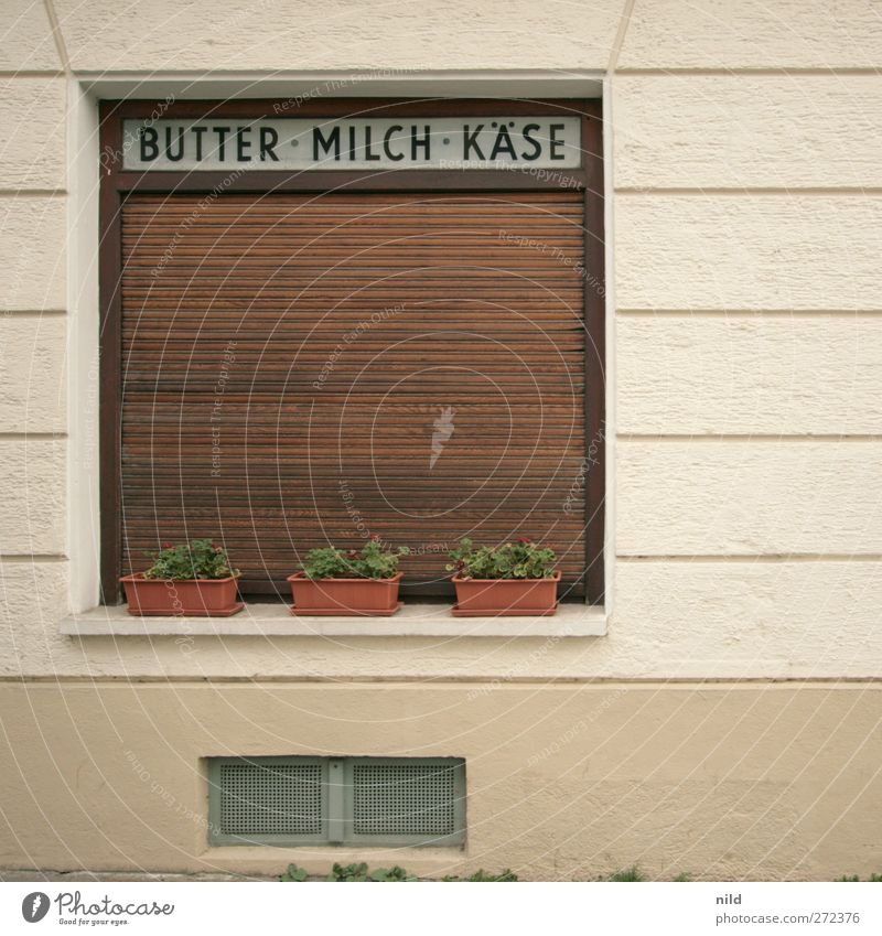 BUTTER - MILK - CHEESE Food Butter Milk Cheese Plant Foliage plant Pot plant Village Town Deserted House (Residential Structure) Wall (barrier) Wall (building)