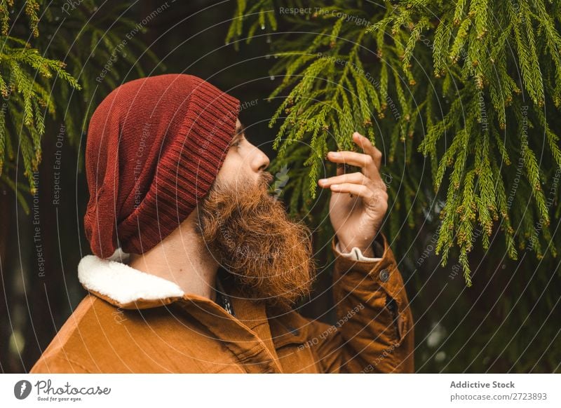 Bearded man standing at green tree Tourist Nature Man bearded warm clothes fir Tree Green Forest Vacation & Travel Adventure Landscape Hiking Azores