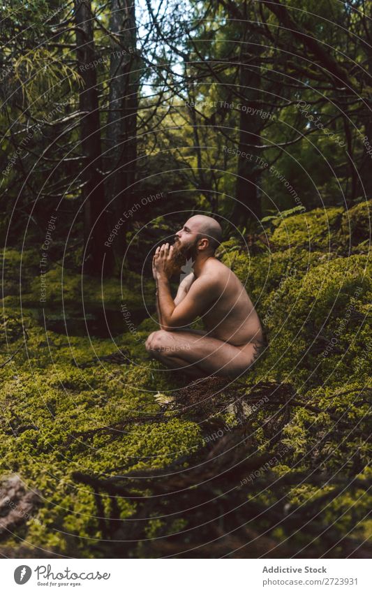 Man sitting on green moss Naked Forest Youth (Young adults) Torso Natural Moss Sit Park Model handsome Adults Nature Wood shirtless Strong Attractive Muscular