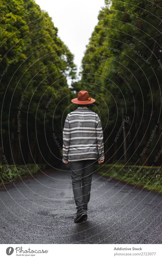 Bearded man in hat on road Tourist Nature Man bearded Forest Green Hat Street Vacation & Travel Adventure Landscape Hiking Exterior shot Vantage point Azores