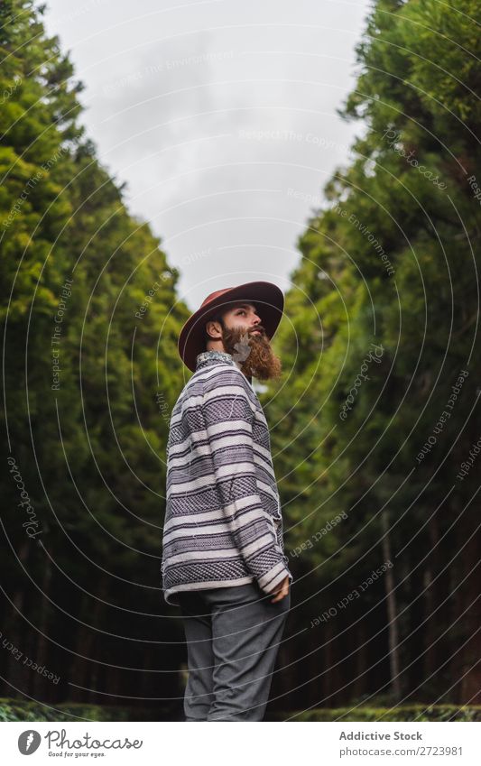 Bearded man in hat on road Tourist Nature Man bearded Forest Green Hat Street Vacation & Travel Adventure Landscape Hiking Exterior shot Vantage point Azores