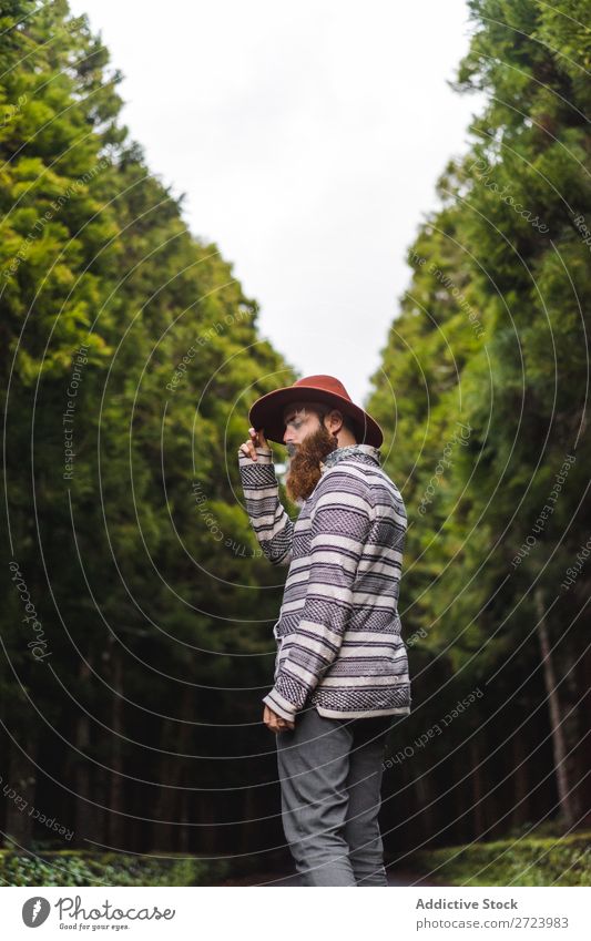 Bearded man in hat on road Tourist Nature Man bearded Forest Green Hat Street Vacation & Travel Adventure Landscape Hiking Exterior shot Vantage point Azores