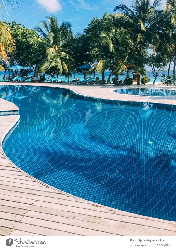 Maldives island luxury resort swimming pool Vacation & Travel Lagoon Island Idyll Luxury scenery Coast Tropical Resort Paradise Exotic Reef Vantage point Atoll