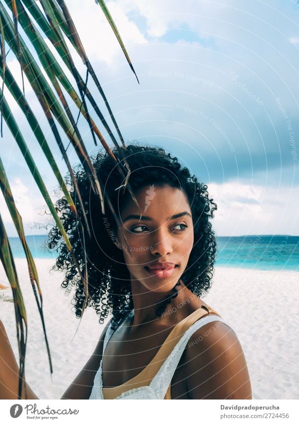 Woman in the Maldives island beach with a palm tree leaf Black Portrait photograph Ethnic Beautiful Palm tree Girl Leaf Green Exotic pretty Vacation & Travel