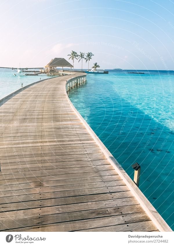 Maldives island luxury resort wooden pier Jetty Vacation & Travel Vacation home Ocean Lagoon Island Idyll Luxury scenery Coast Tropical Paradise Exotic Reef
