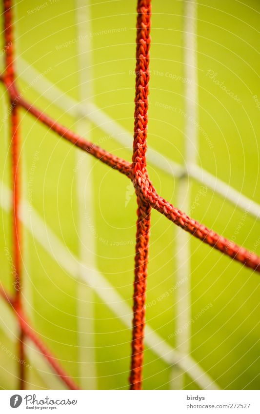 Nets of a soccer goal, weak depth of field Green Red Sports Symmetry Soccer Goal 2 Reduplication Synthesis Knot Node reticulated Bright background Colour photo
