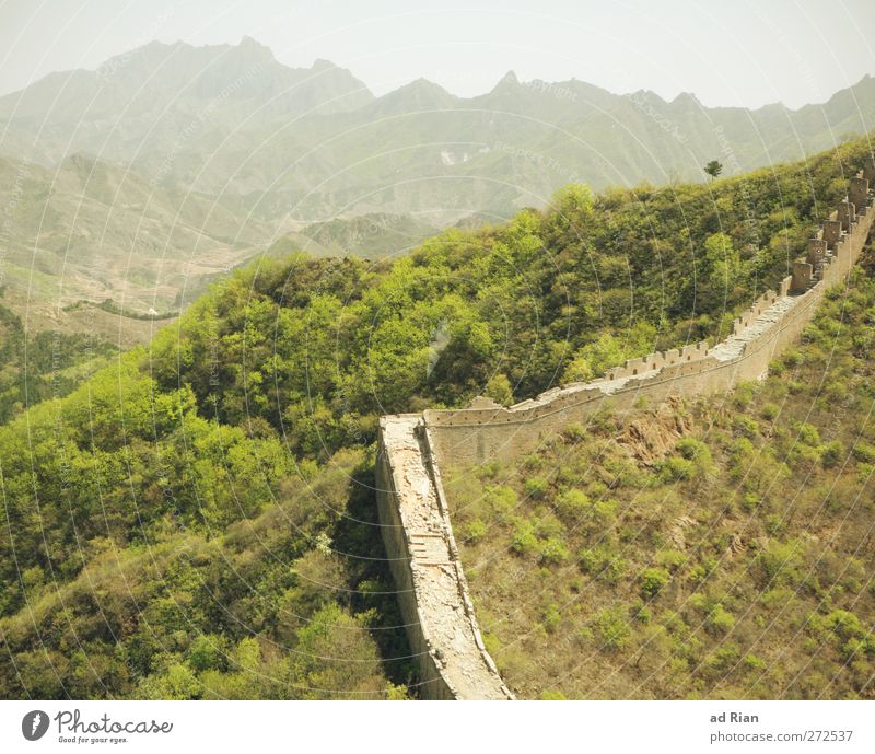 demarcation Nature Landscape Spring Beautiful weather Tree Grass Bushes Field Forest Hill Rock Mountain China Ruin Tower Manmade structures Architecture