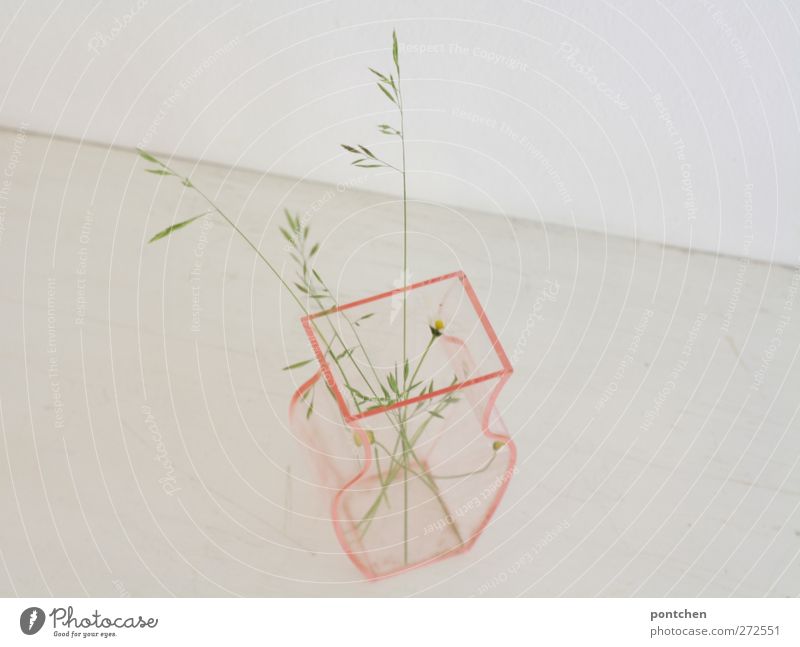 Transparent vase filled with a few stalks. Minimalism Interior design Decoration Plant flowers Grass Bouquet Plastic Bright Gloomy Pink White Purity Thrifty