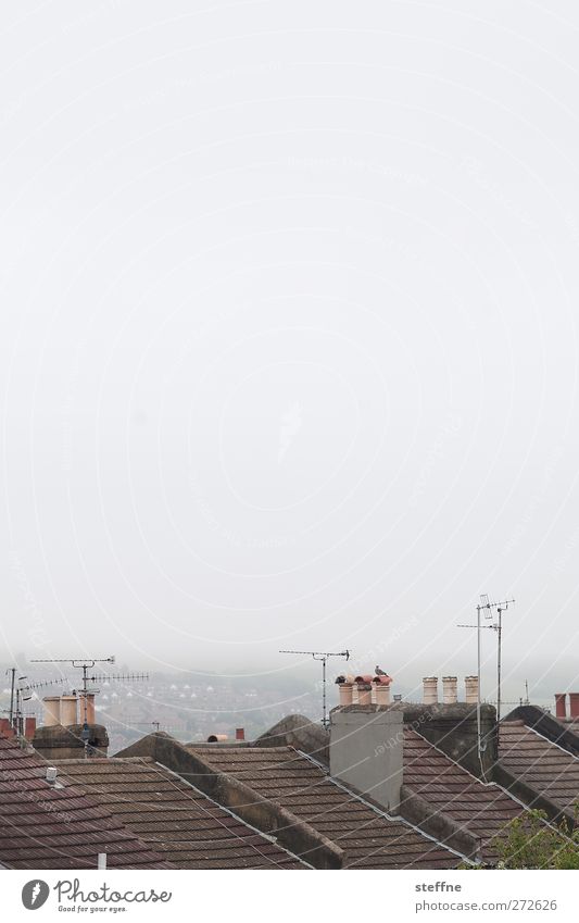 nice weather in England Sky Bad weather Fog Brighton Port City Skyline House (Residential Structure) Detached house Roof Chimney Antenna Gloomy Calm
