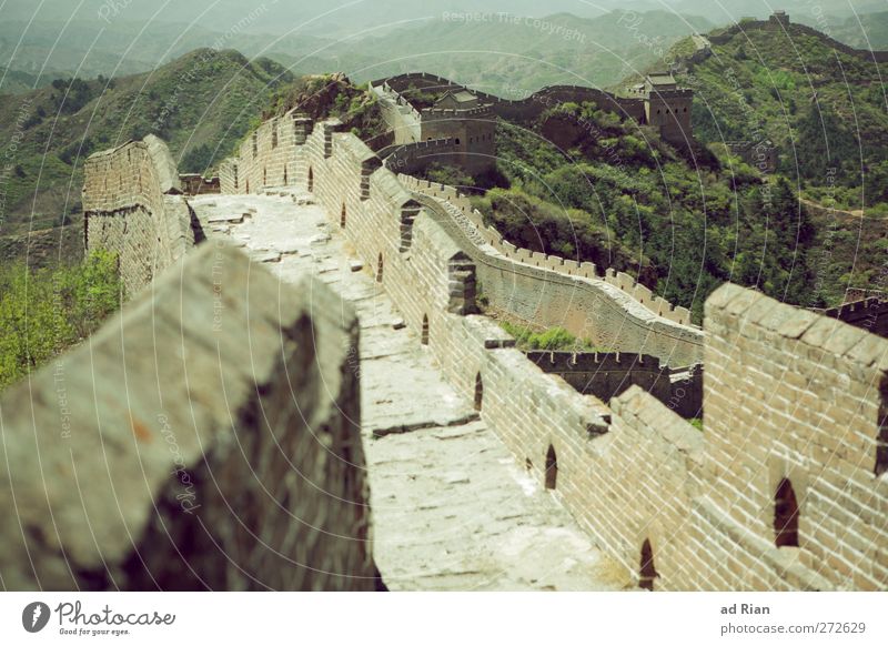 an up and down! Environment Landscape Cloudless sky Spring Beautiful weather Tree Grass Bushes Meadow Forest Hill Peak China Skyline Deserted Palace Ruin Tower
