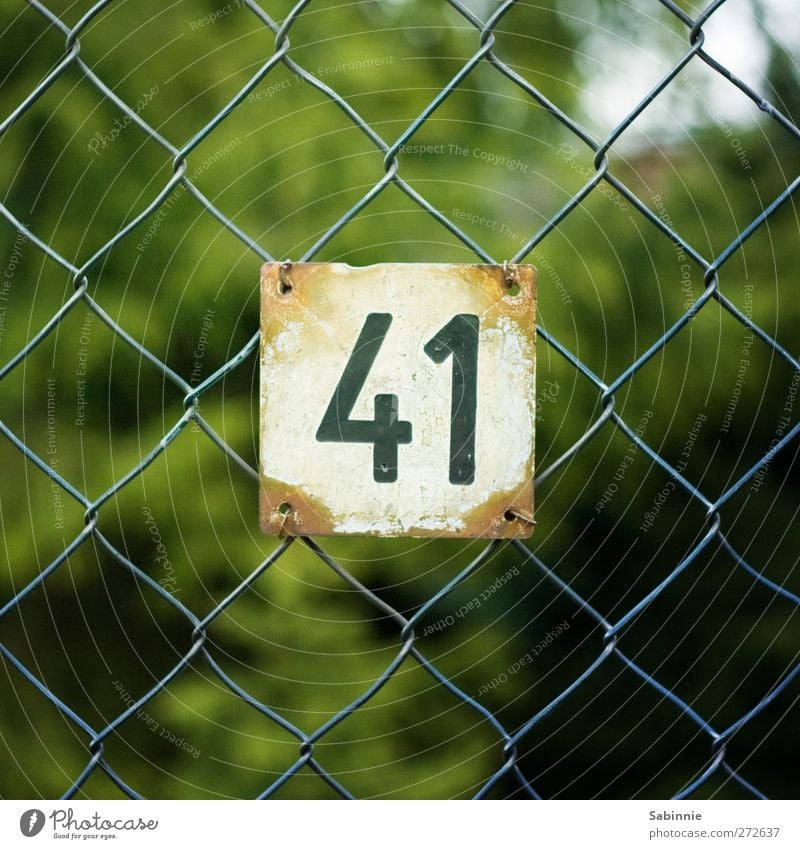 41 Wire netting fence House number Number plate Digits and numbers Entrance Metal Green Black White Colour photo Multicoloured Exterior shot Close-up Detail Day