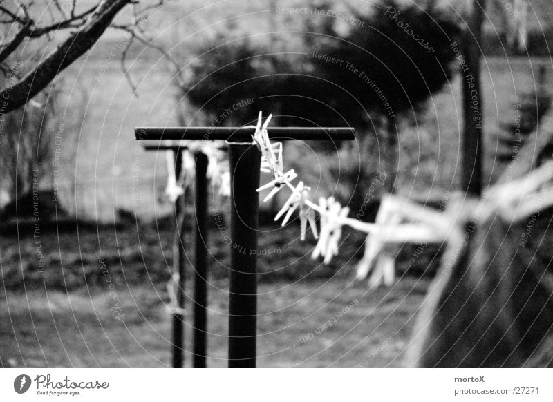 clothesline Clothesline Laundry String Leisure and hobbies Rope To hold on Exterior shot