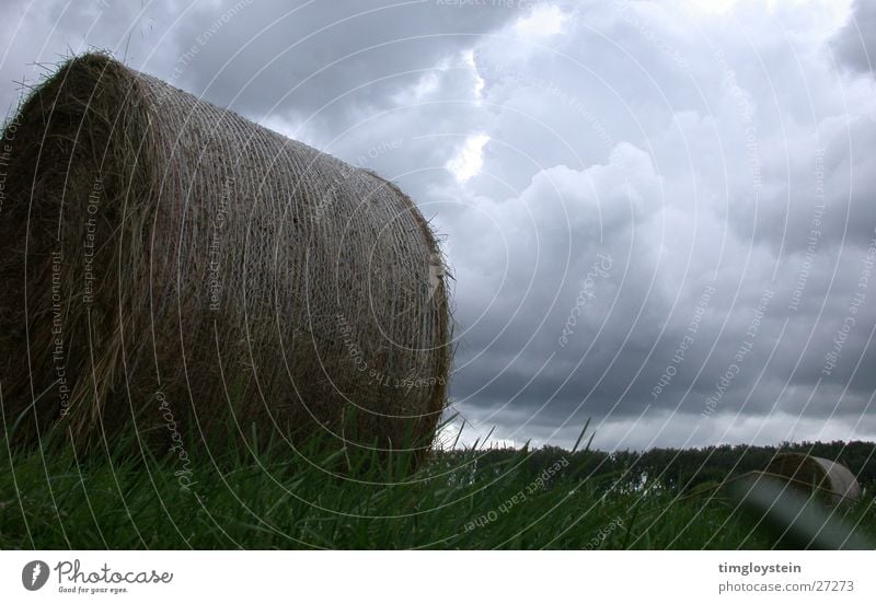 Straw and cloud bales Clouds Bale of straw Hay bale Threat Dark Grass Meadow Storm Gray