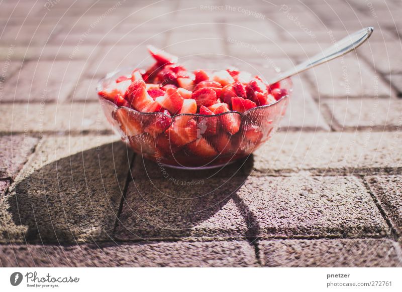 earth bears Food Fruit Nutrition Organic produce Vegetarian diet Delicious Sweet Strawberry Bowl Spoon Red Fruity Healthy Healthy Eating Summer Colour photo