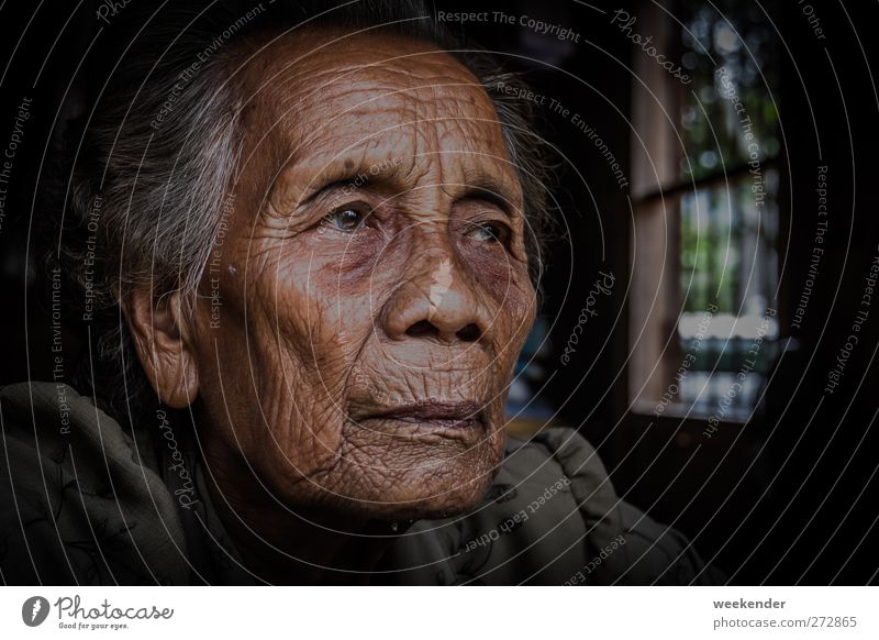 Deep in thought Human being Feminine Woman Adults Female senior Grandmother Head 1 60 years and older Senior citizen Gray-haired Emotions Moody Obedient