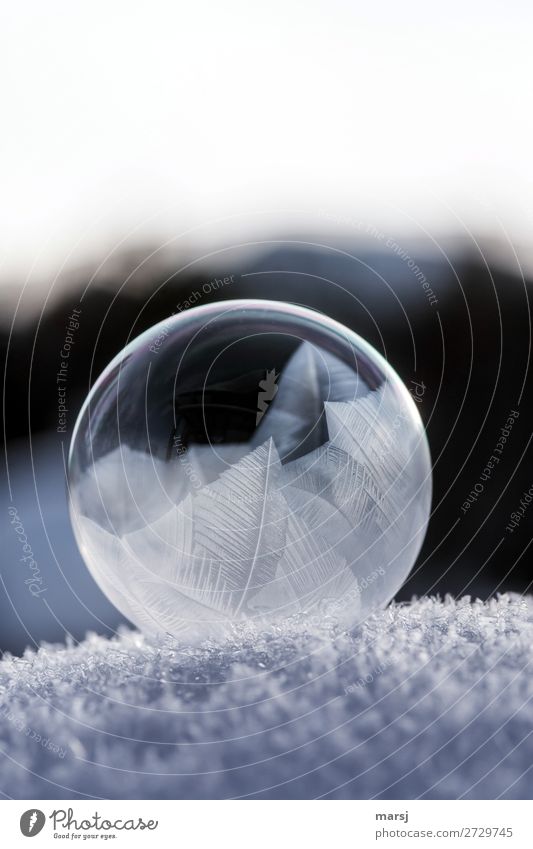 O with frost art Winter Ice Frost Snow Soap bubble Crystal structure Sphere Dark Thin Authentic Elegant Uniqueness Cold Natural Round Purity Transparent