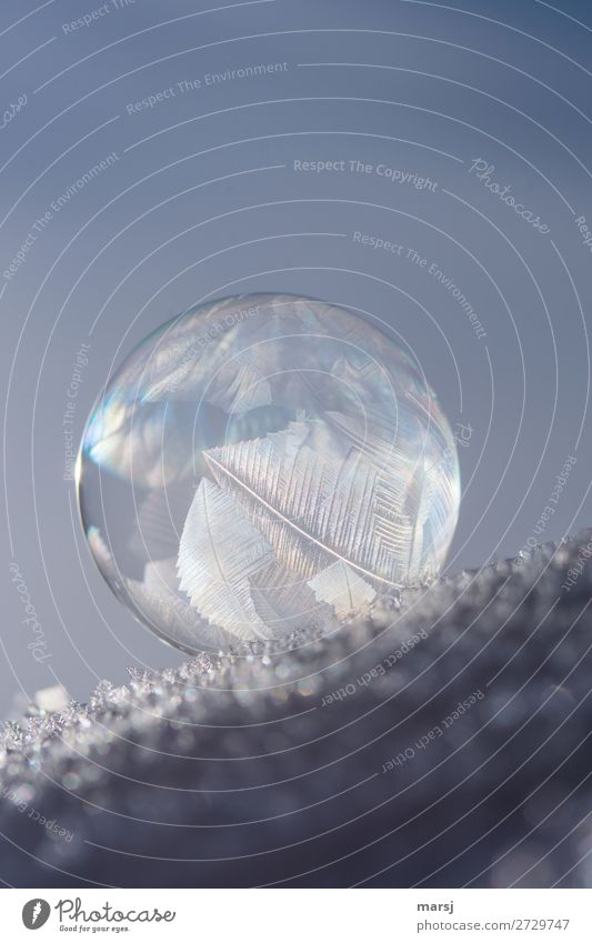 go off the rails Snow Soap bubble Crystal structure Sphere Exceptional Thin Authentic Uniqueness Purity Bizarre Pure Tilt Off the rails Frozen ossified Round