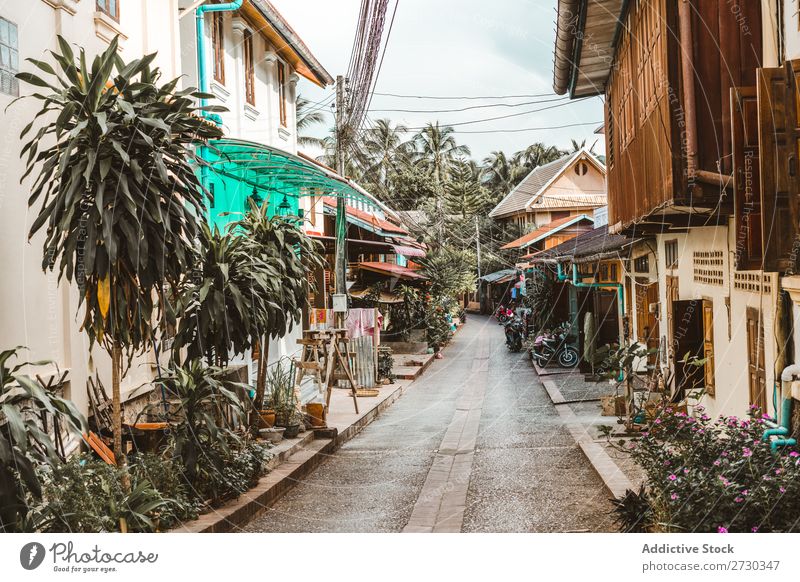 Narrow street with small houses Street House (Residential Structure) Town Architecture Perspective Vacation & Travel asian City Old Alley Tradition Tourism