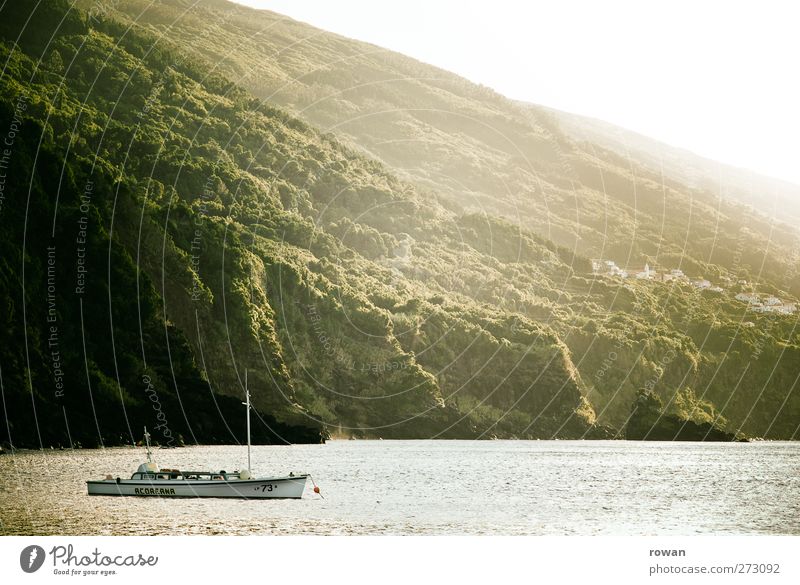 at anchor Vacation & Travel Trip Nature Landscape Waves Coast Bay Fjord Ocean Calm Forest Watercraft Anchor Drop anchor Break Relaxation Sailing Motorboat