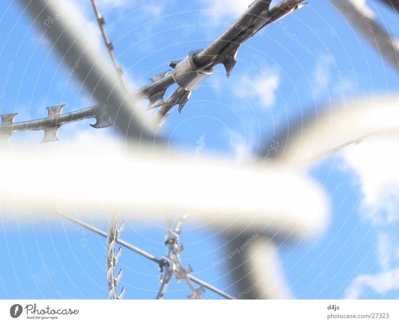 captive Wire Barbed wire Clouds Dangerous Captured Leisure and hobbies Sky Metal Point Penitentiary Muddled Blue