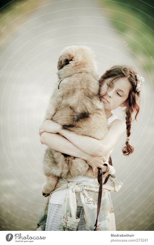 young girl carries her puppy Child Feminine Girl Infancy Life 1 Human being 8 - 13 years Landscape Field Lanes & trails Brunette Long-haired Braids Pet Dog