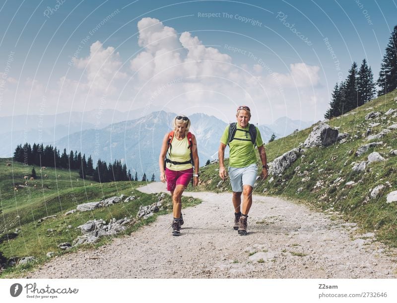Sporty pensioners hiking in Upper Bavaria Leisure and hobbies Vacation & Travel Trip Adventure Mountain Hiking Female senior Woman Male senior Man 2 Human being