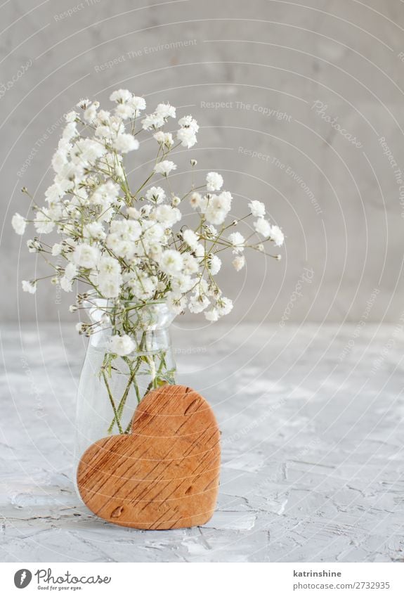 Bouquet of small white flowers and wooden hearts Bottle Beautiful Decoration Valentine's Day Wedding Woman Adults Mother Flower Blossom Wood Heart Small Gray