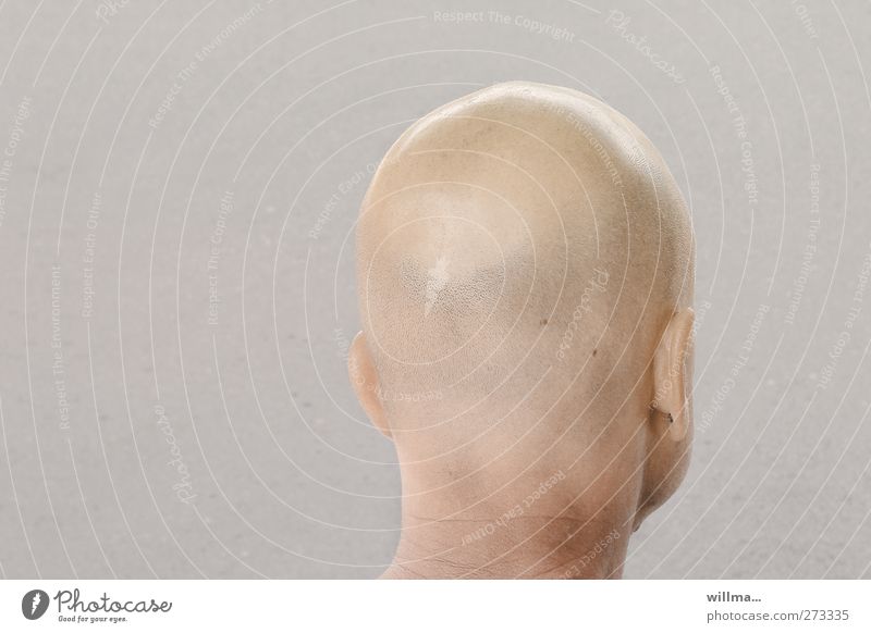 Bald man from behind Bald or shaved head Man Adults Head Ear Neck 1 Human being Hair and hairstyles Bright Back of the head Looking away Neutral Background