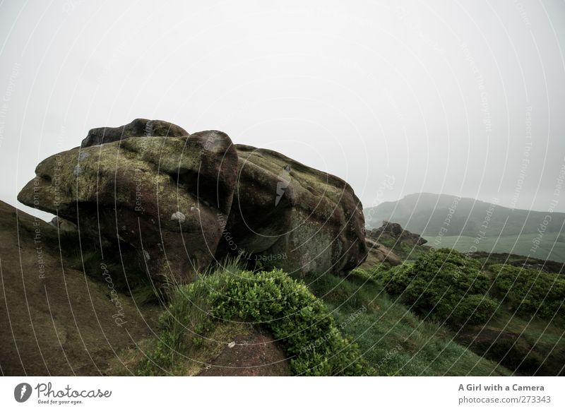 lizard Environment Nature Landscape Elements Sky Clouds Spring Climate Bad weather Fog Rain Hill Rock Mountain Peak Free Natural Gloomy Wild Green England Stone