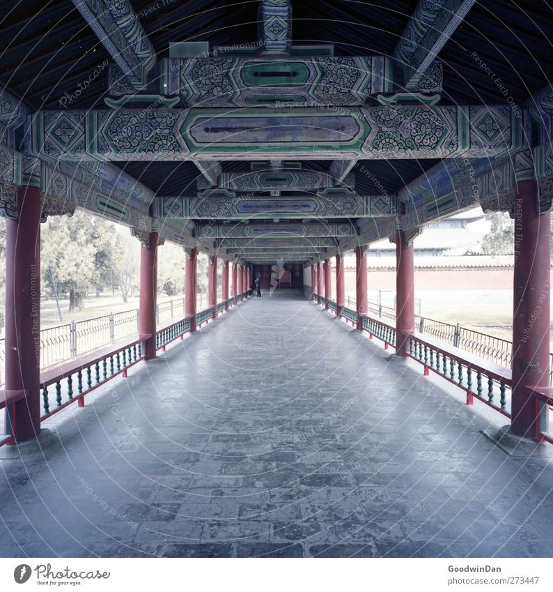 Temple of Heaven. Town Capital city Old town Manmade structures Architecture Roof Tourist Attraction Landmark "temple of heaven peking" Historic Clean Beautiful