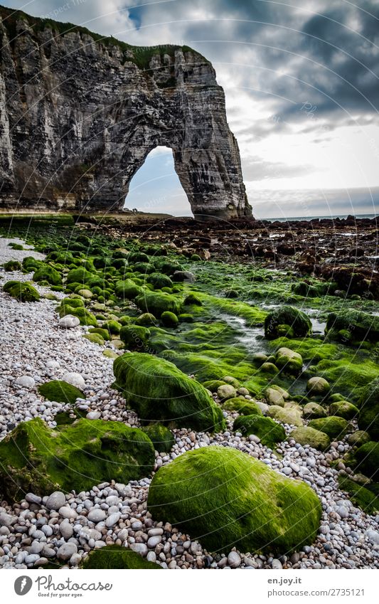 at sea level Vacation & Travel Trip Ocean Nature Landscape Sky Clouds Horizon Climate Climate change Algae Aquatic plant Rock Coast Beach Gravel beach Cliff