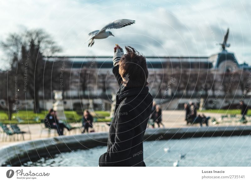 Boy giving food to Pidgeon at Tuileries Garden in Paris, France Vacation & Travel Tourism Winter Boy (child) Man Adults Museum Nature Animal Park Palace