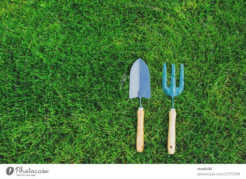 garden tools on green lawn background. Leisure and hobbies Summer Garden Gardening Tool Technology Environment Nature Landscape Plant Earth Grass Growth Green