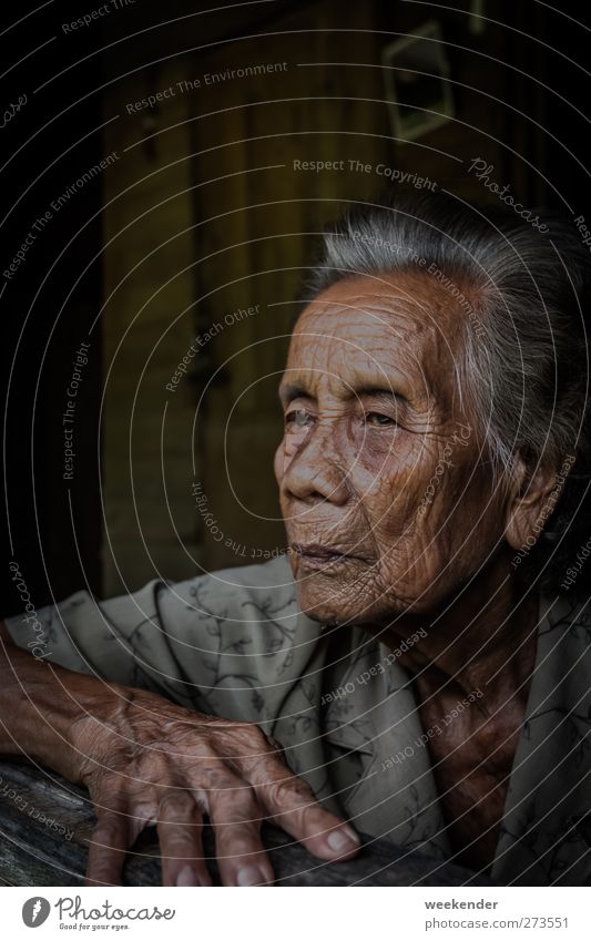 memories Skin Face Feminine Grandmother Senior citizen Head Hand Fingers 1 Human being 60 years and older Hut Sit Brown Gray Emotions Humanity Serene Calm Trust