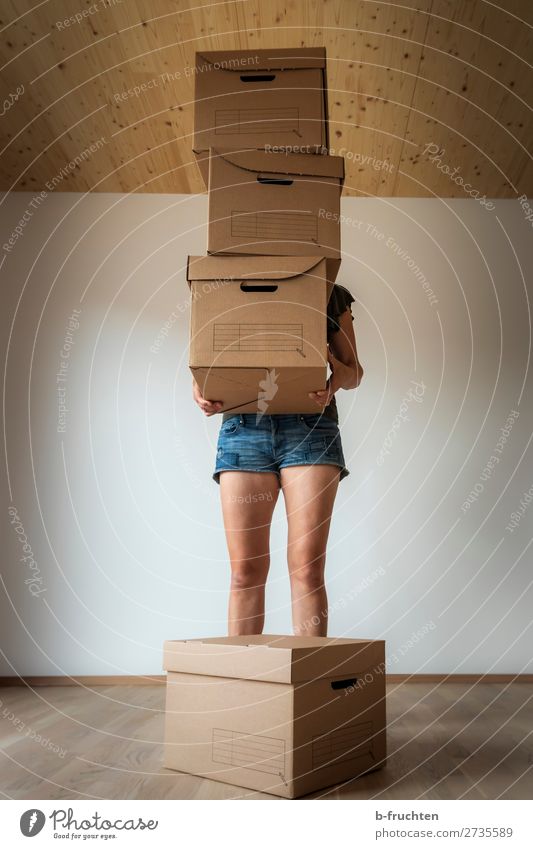 Moving boxes, Woman with boxes Flat (apartment) House (Residential Structure) Dream house Moving (to change residence) Arrange Room Adults Hand Legs 1