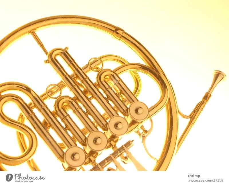 horn Things Antlers Musical instrument Gold