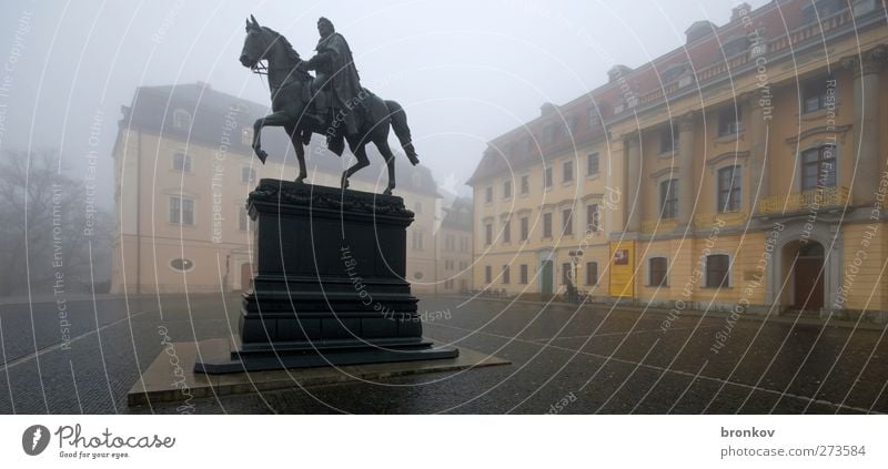 equestrian statue Sculpture Weimar Small Town Castle Manmade structures Anna Amalia Library Horse 1 Animal Old Gray Success Colour photo Exterior shot Deserted