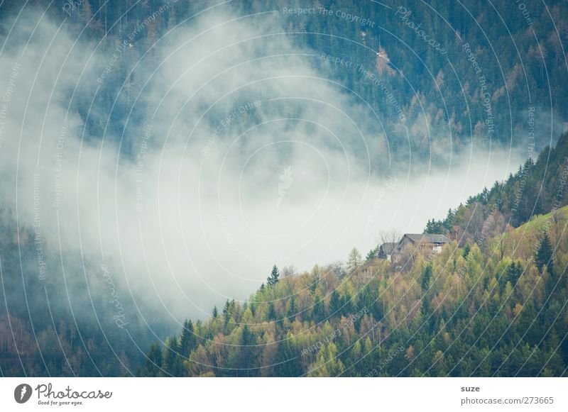 It raised fog ... Far-off places House (Residential Structure) Environment Nature Landscape Plant Elements Air Clouds Summer Climate Fog Forest Alps Mountain