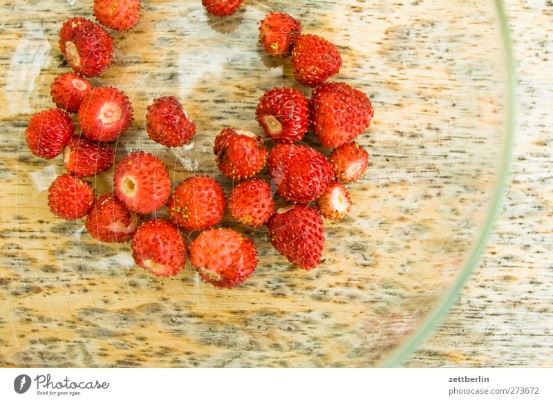 wild strawberries Food Fruit Picnic Organic produce Vegetarian diet Finger food Plate Healthy Healthy Eating Summer Garden Nature Plant Leaf Blossom To enjoy