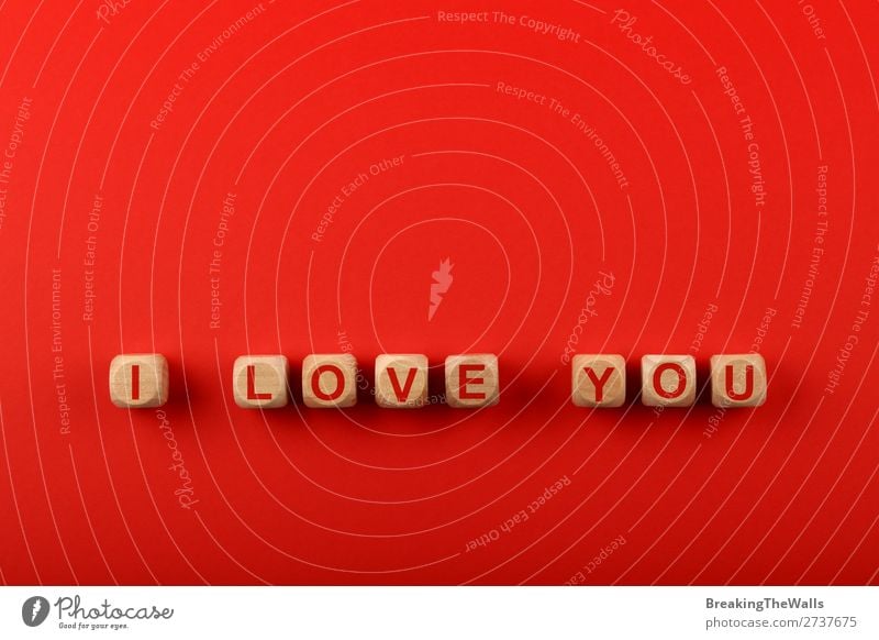 Wooden cubes with I LOVE YOU words over red Design Sign Characters Signs and labeling Love Together Above Red Colour Creativity Art you Word background elevated