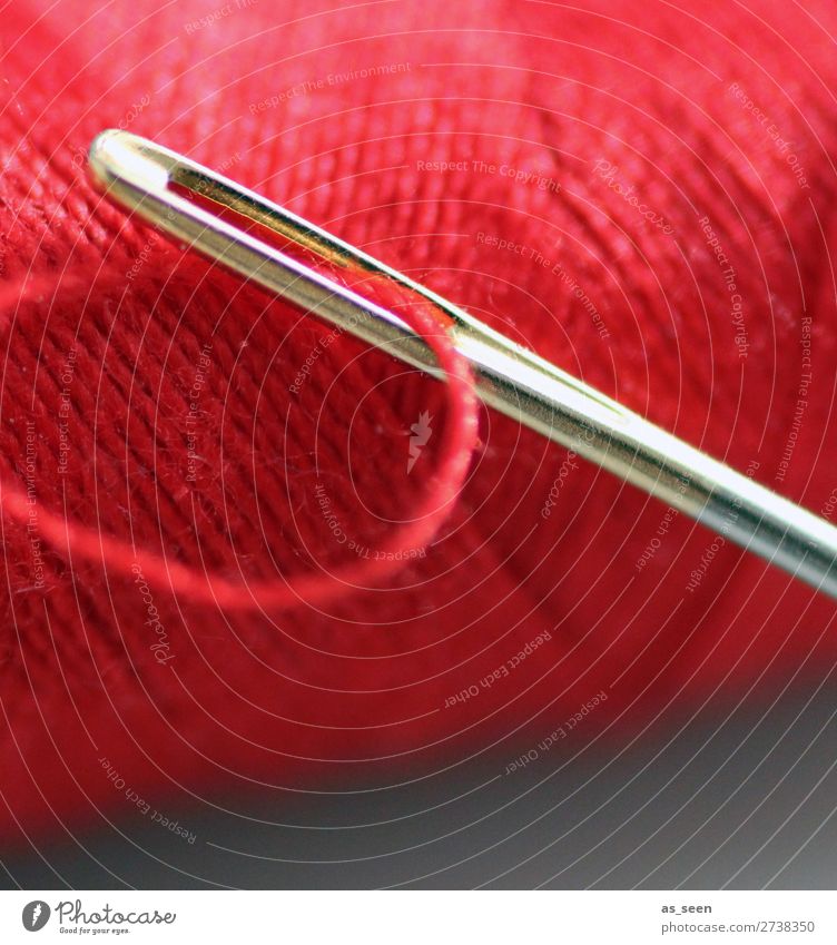 Sewing needle Free Stock Photos, Images, and Pictures of Sewing needle