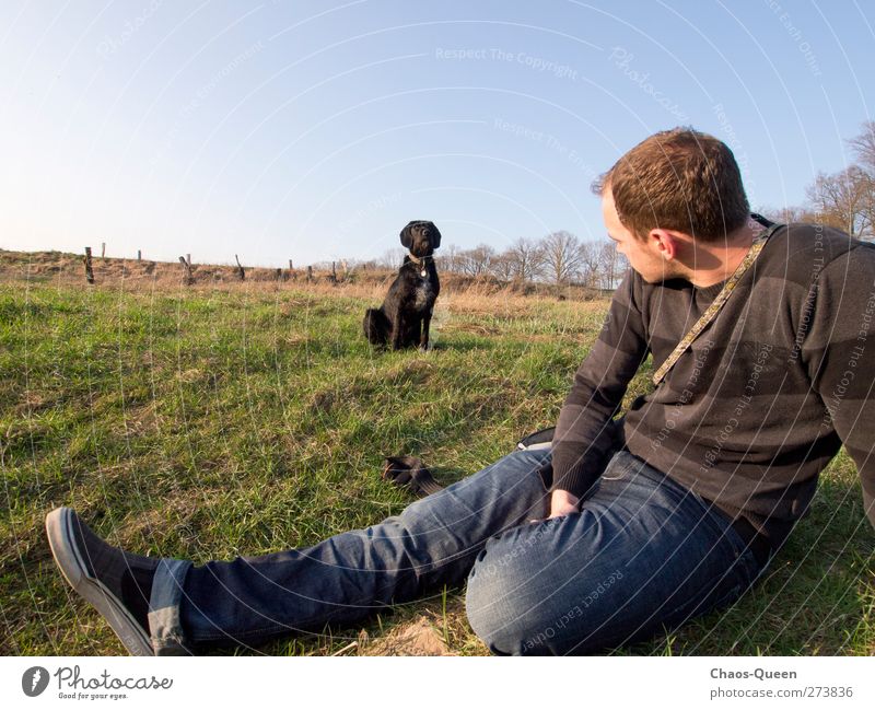 What are you looking at? Freedom Summer Masculine Man Adults 1 Human being 18 - 30 years Youth (Young adults) Nature Sky Cloudless sky Beautiful weather Grass