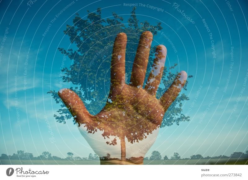 Save the nature Hand Fingers Environment Nature Landscape Plant Elements Sky Horizon Climate Climate change Beautiful weather Tree Blue Protection