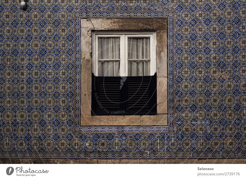View outside Wall (building) Window Architecture House (Residential Structure) Building Old Colour photo Flow Portugal Vacation & Travel Europe Historic Facade