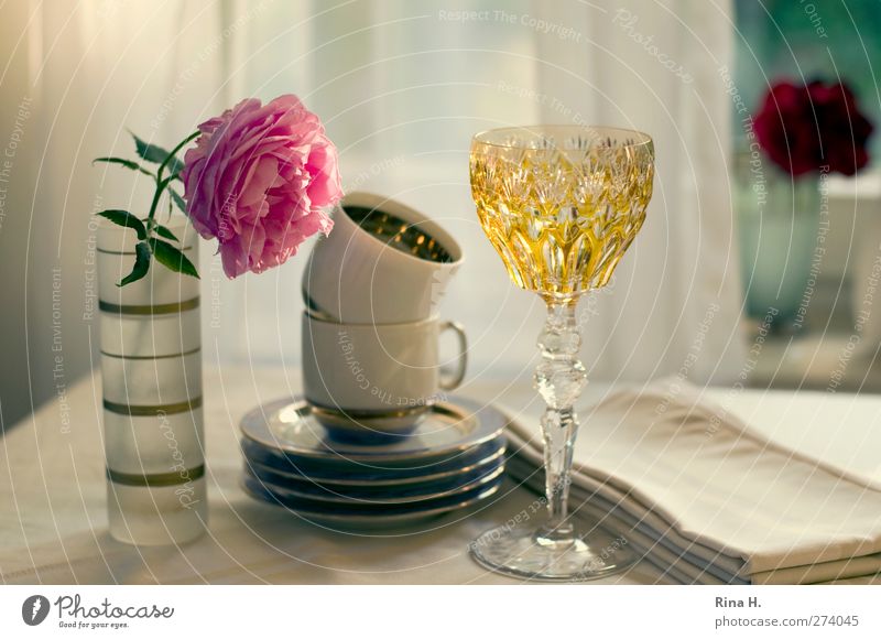 Table cover you III Crockery Plate Cup Glass Living or residing Rose Vase Napkin Colour photo Interior shot Deserted Shallow depth of field