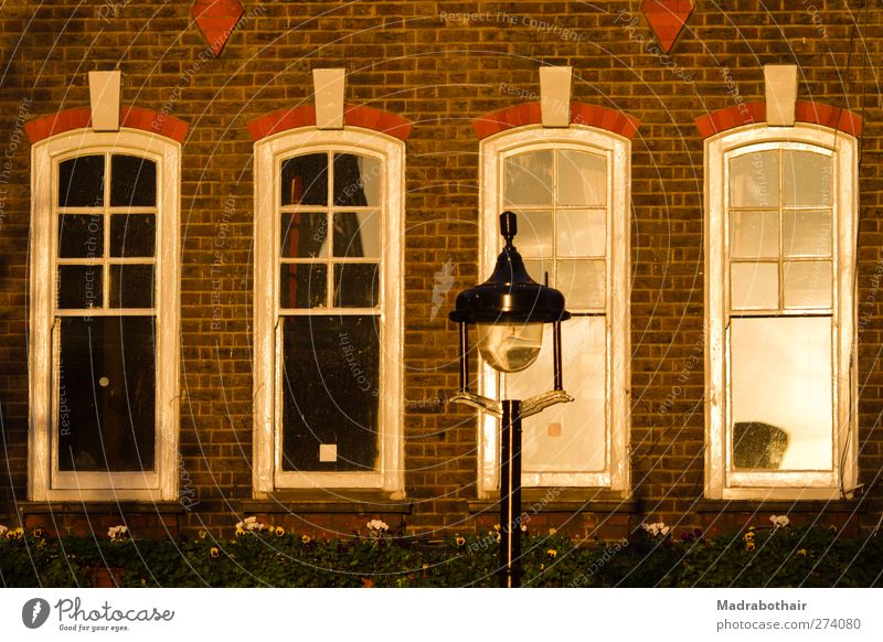 Window of London England Europe Town Downtown House (Residential Structure) Building Architecture Wall (barrier) Wall (building) Facade Brick construction Old