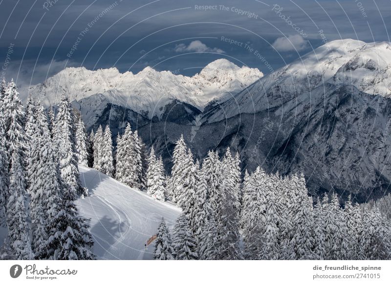 Winter in Tyrol Environment Nature Landscape Plant Sky Clouds Weather Beautiful weather Wind Ice Frost Snow Tree Coniferous trees Alps Mountain Patscherkofel