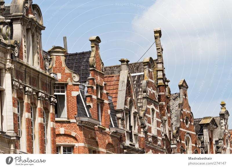 old roof ridges in Leuven, Belgium Sky lions Europe Small Town Downtown Old town House (Residential Structure) Building Architecture