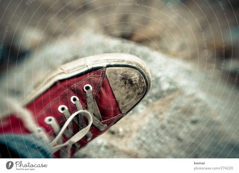 Hiddensee | The Red Shoe Lifestyle Style Beach Fashion Footwear Sneakers Shoelace Bow Stone Old Dirty Trashy White lensbaby Colour photo Subdued colour